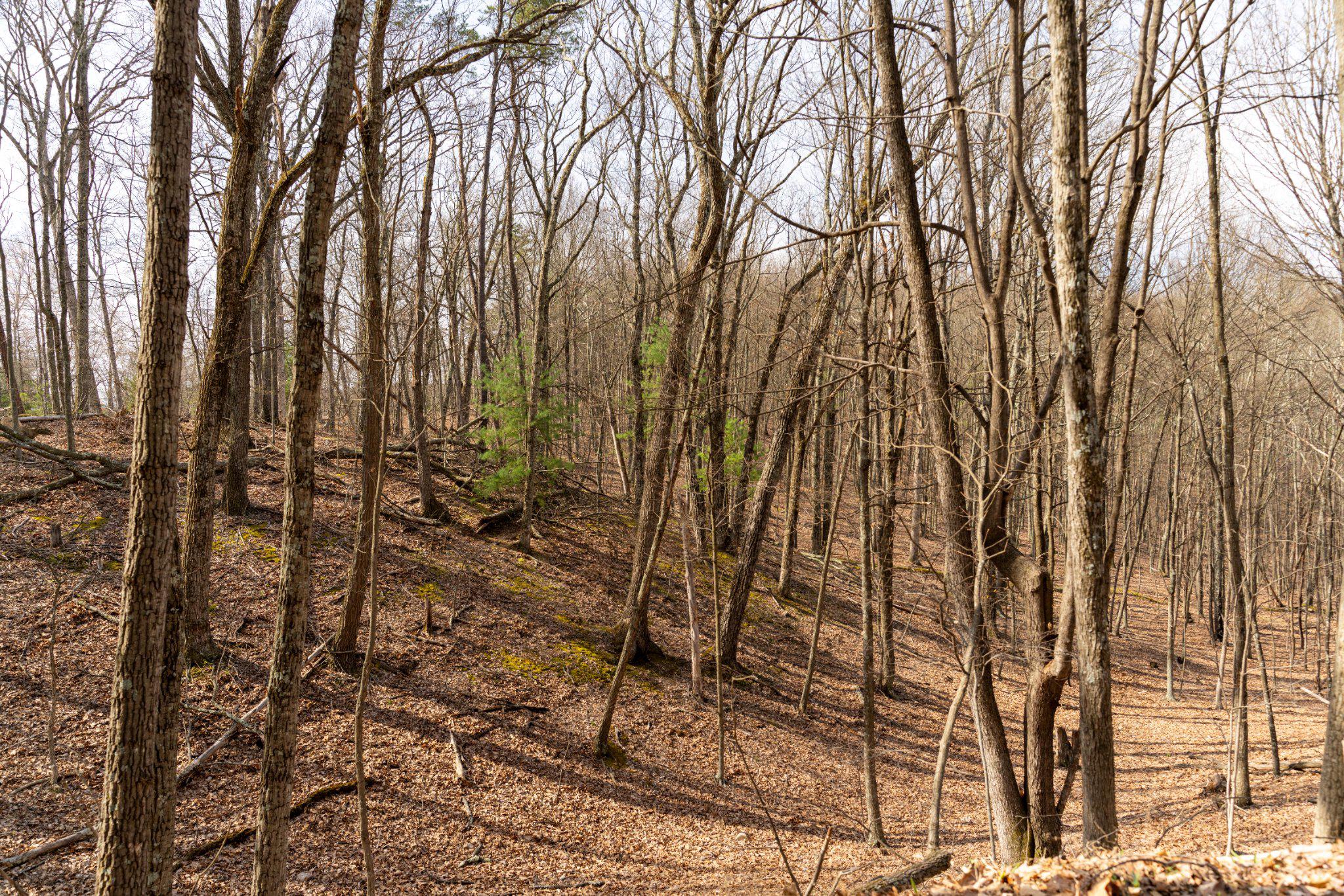 Walnut Ridge Rd Se Property Photo 11