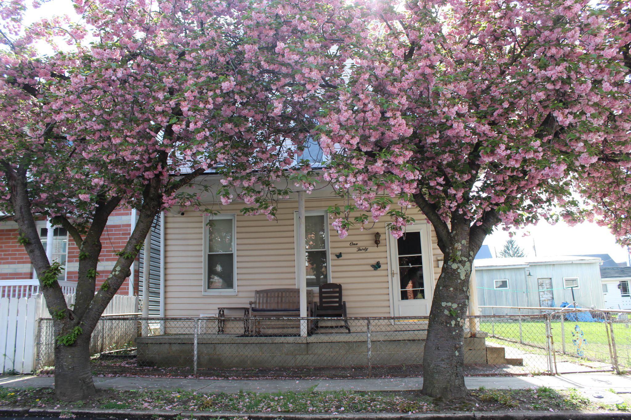 130 Oak St Property Photo 2