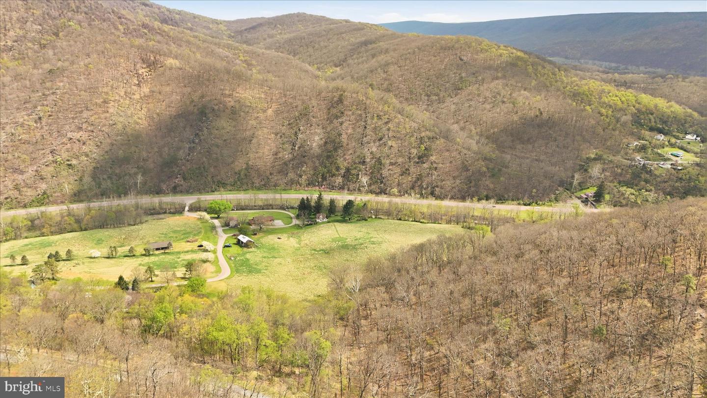 12623 Windy Ridge Dr Property Photo 59