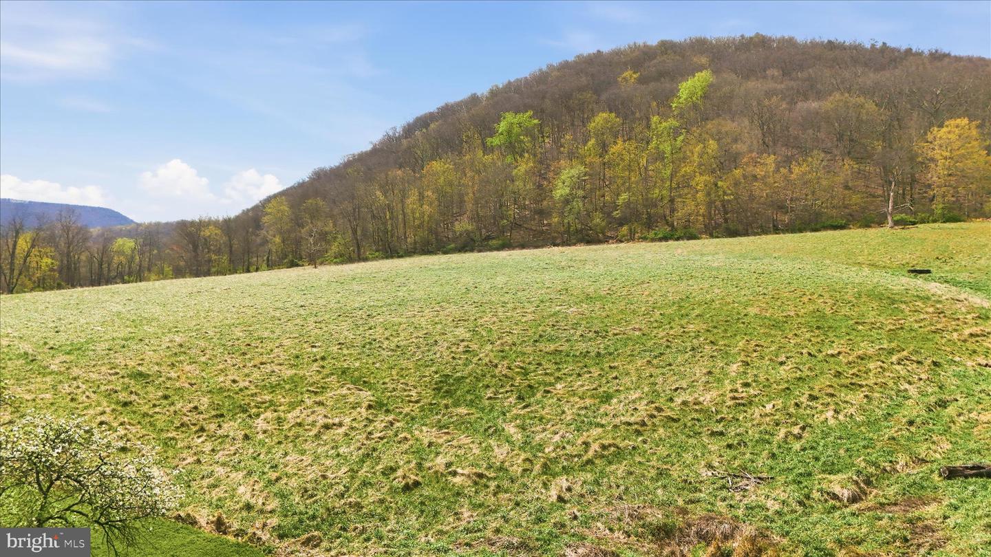 12623 Windy Ridge Dr Property Photo 61
