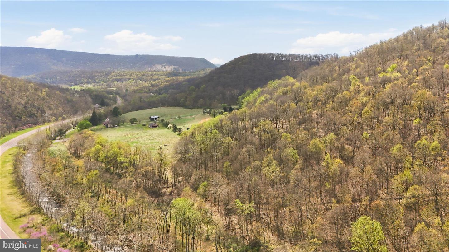 12623 Windy Ridge Dr Property Photo 62