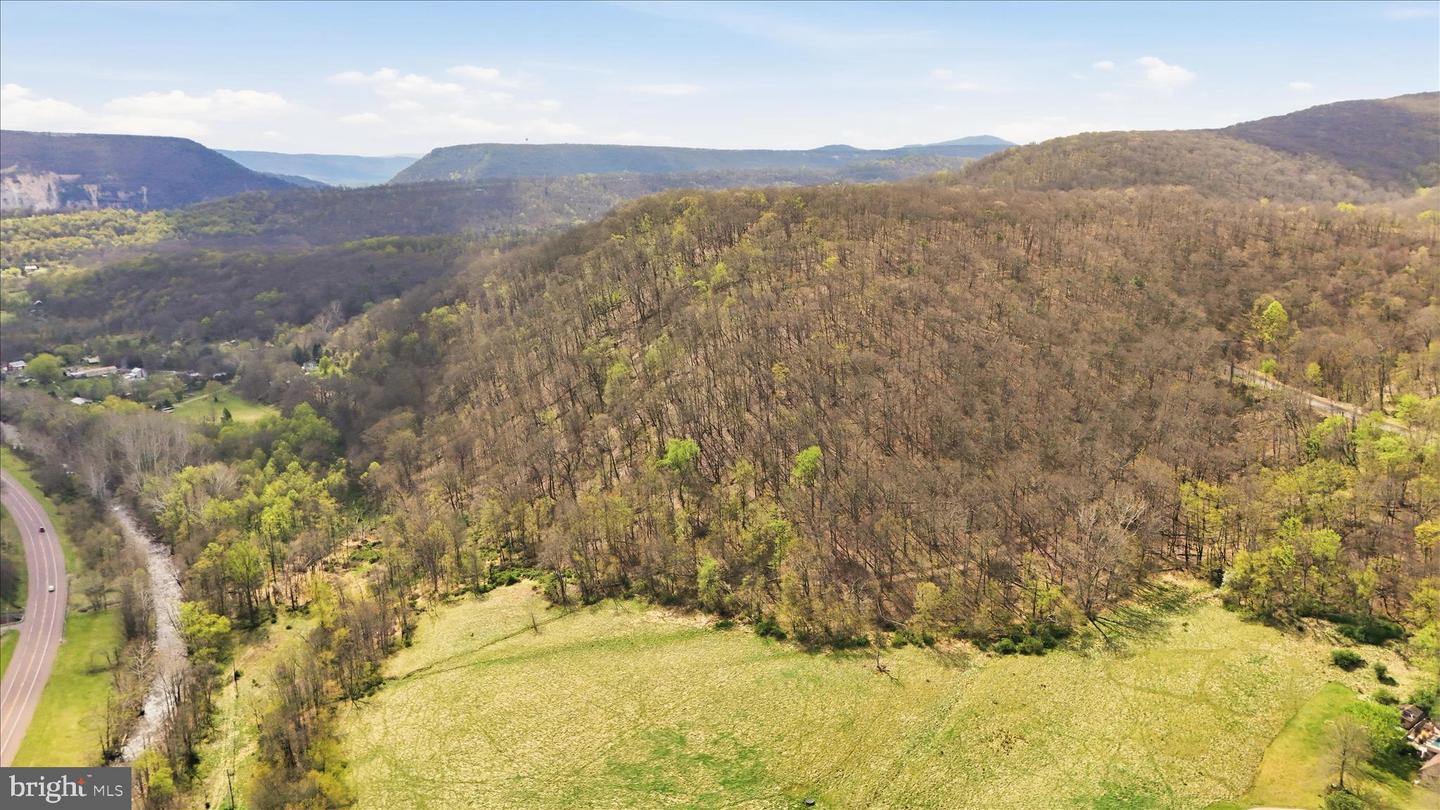 12623 Windy Ridge Dr Property Photo 63