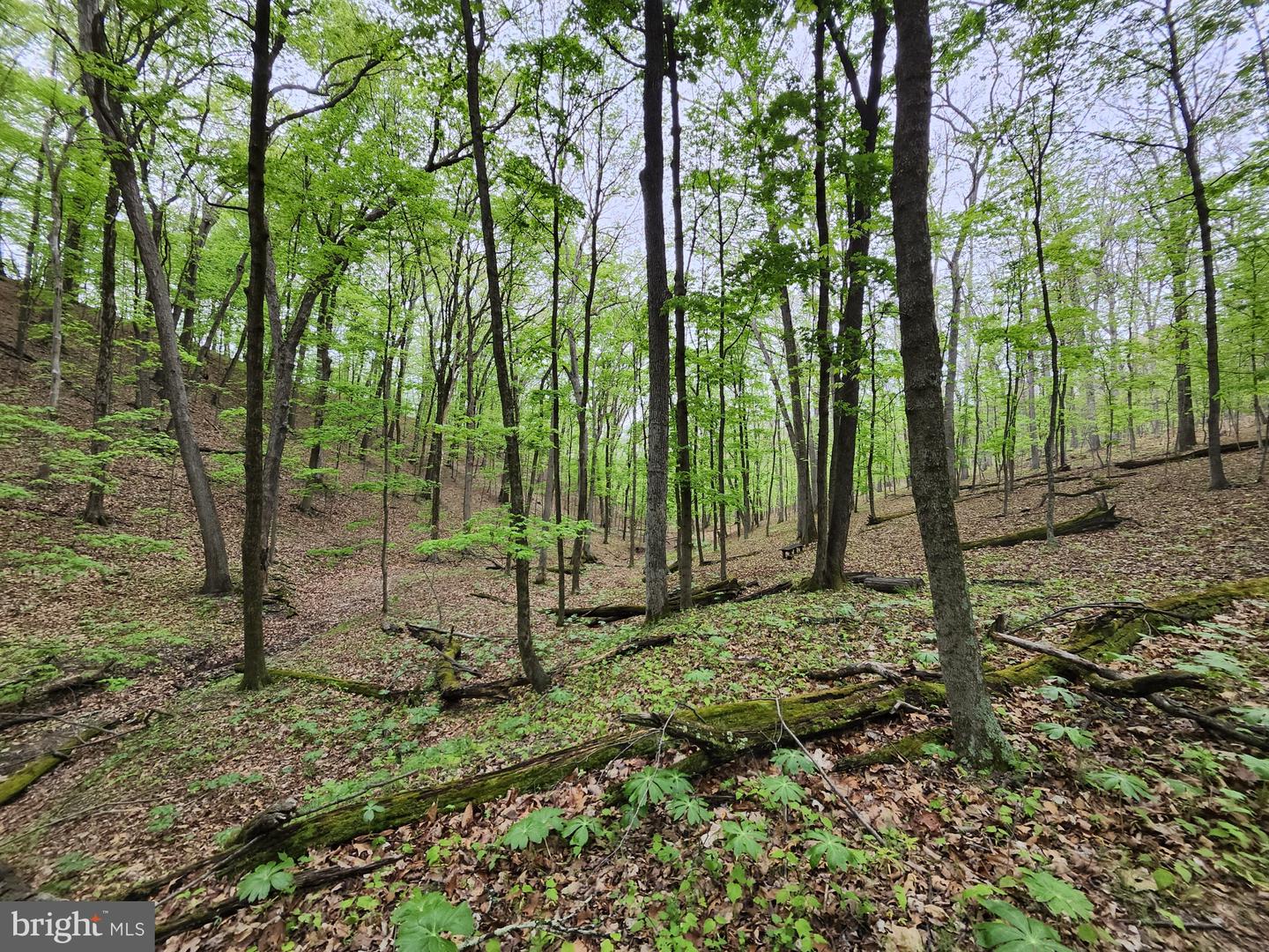 11900 Messick Rd Se Property Photo 56
