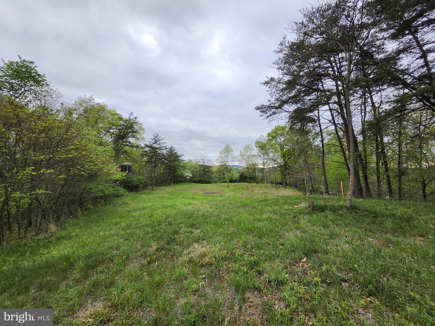 11900 Messick Rd Se Property Photo 58