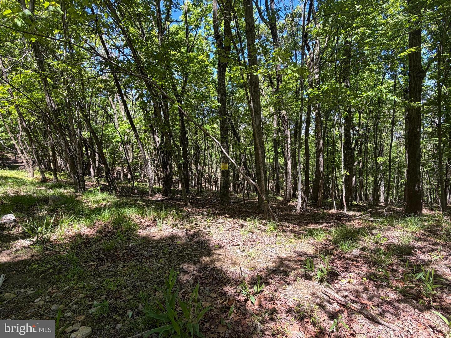 12717 N Cresap St Property Photo 50