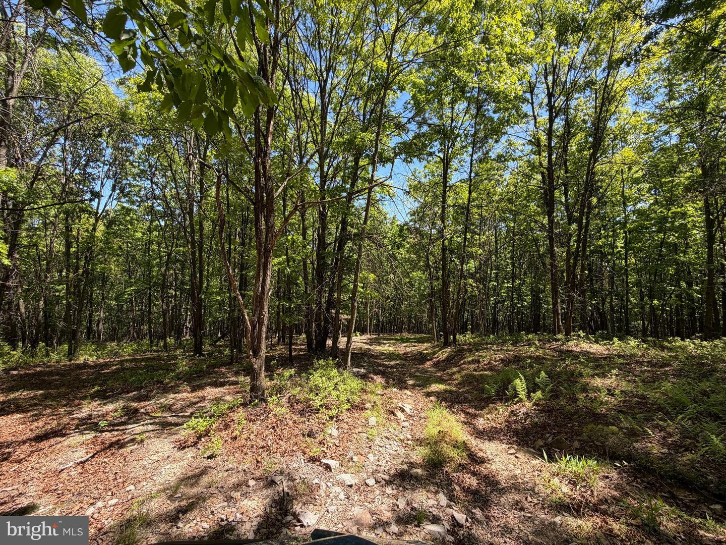12717 N Cresap St Property Photo 68