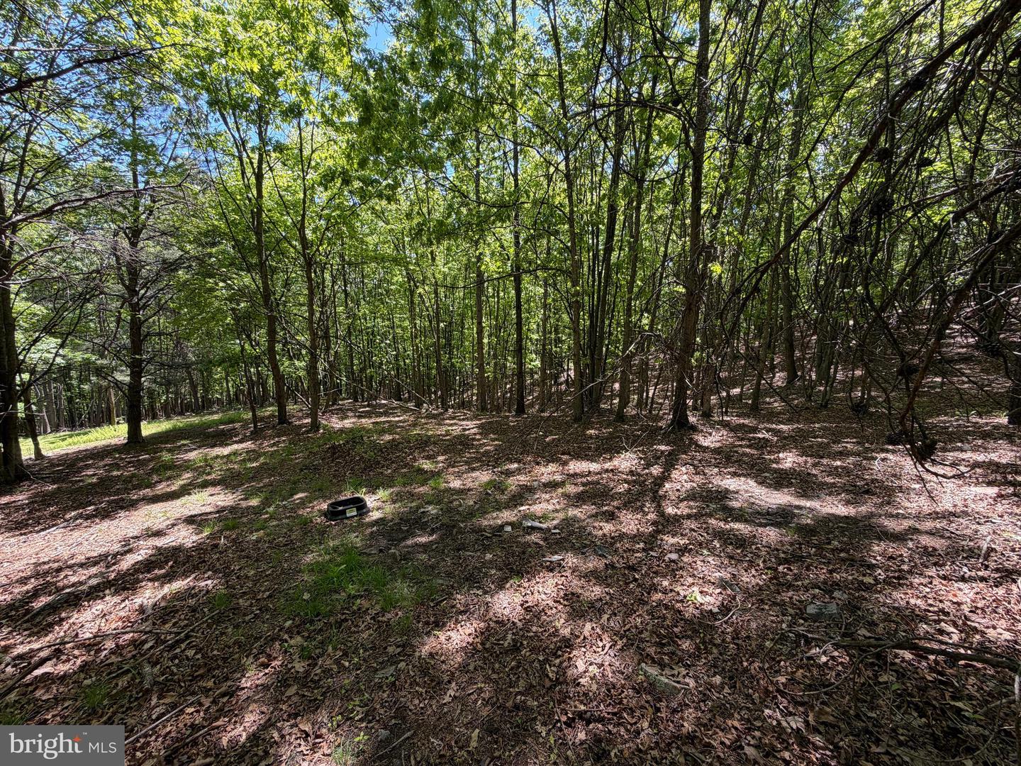 12717 N Cresap St Property Photo 70