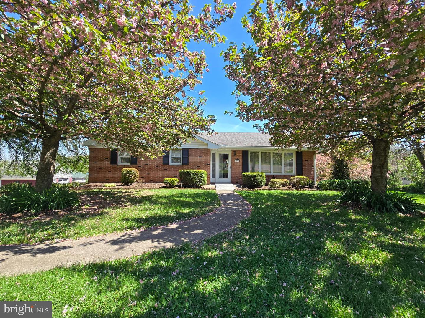 12216 Mcmullen Hwy Sw Property Photo 43