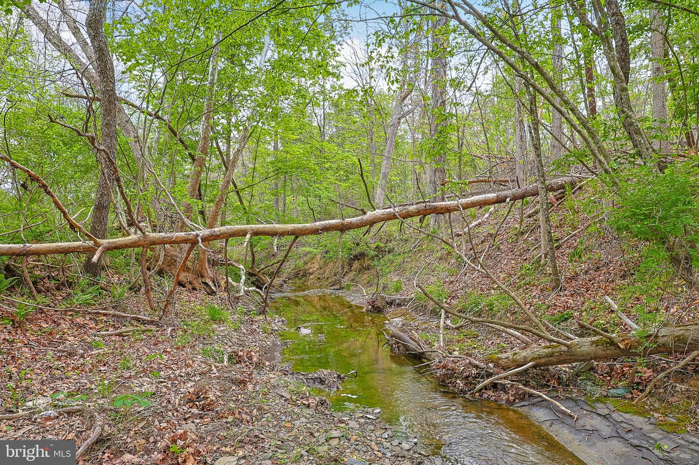 Bear Hill Rd Se Property Photo 11
