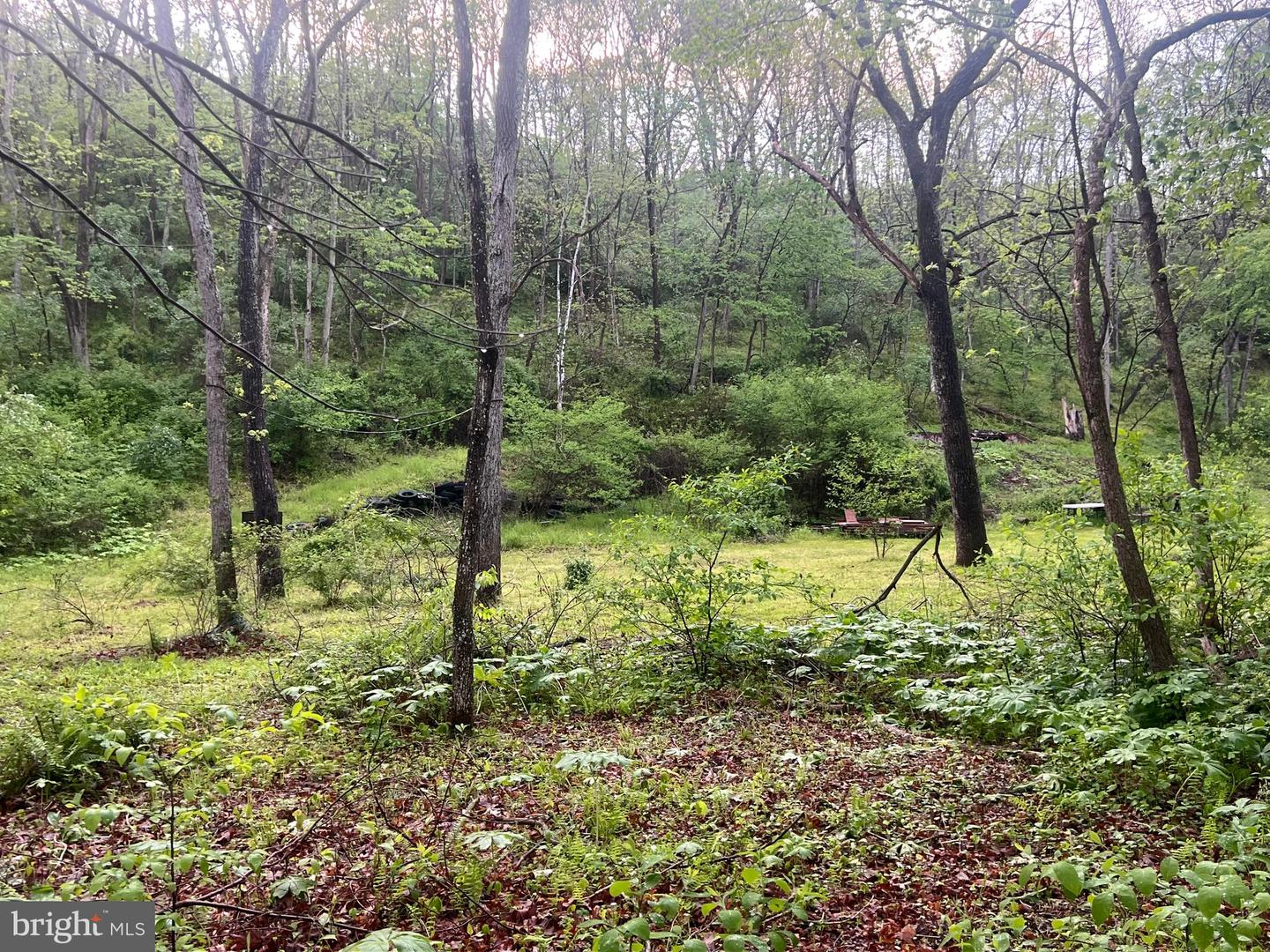 0 Sidling Hill Creek Rd Property Photo 1