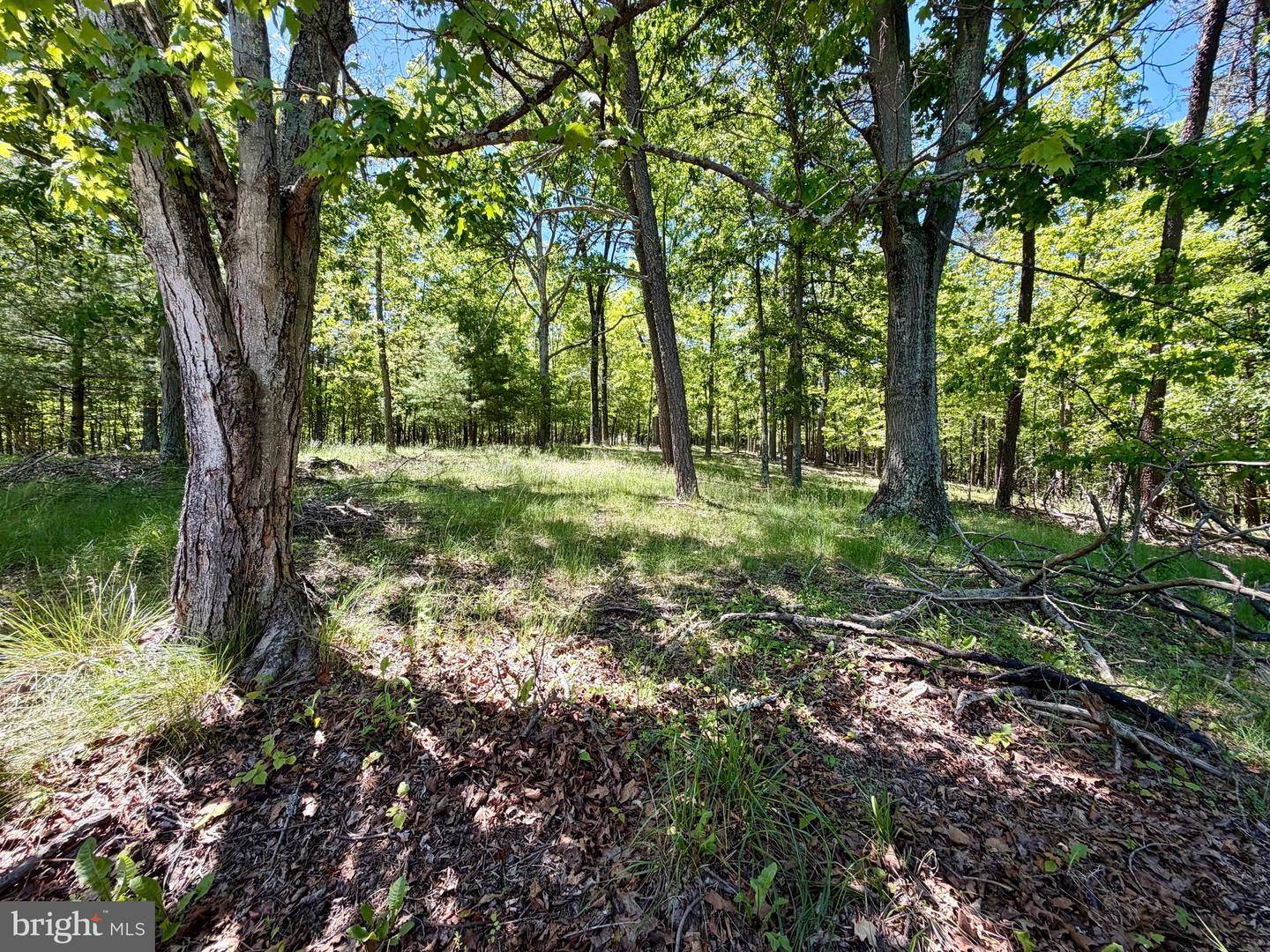 12663 Saint Patricks Rd Se Property Photo 30