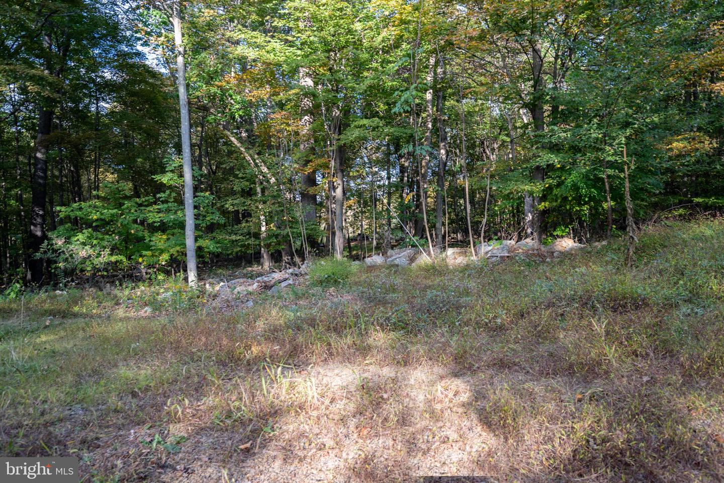 15800 Sprucewood Dr Property Photo 30