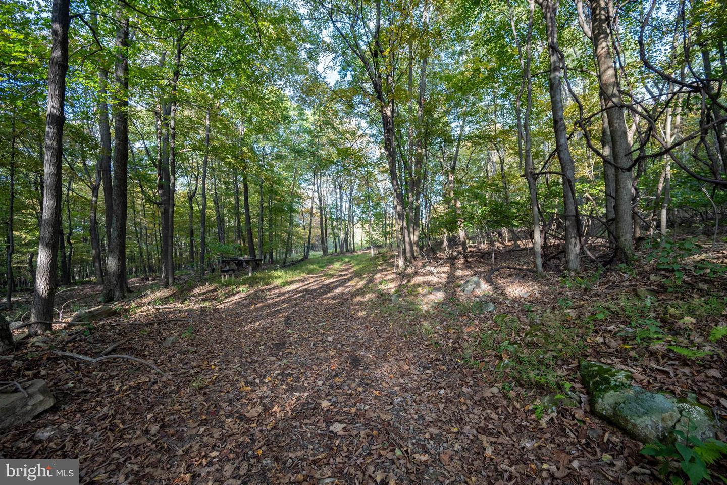 15800 Sprucewood Dr Property Photo 35