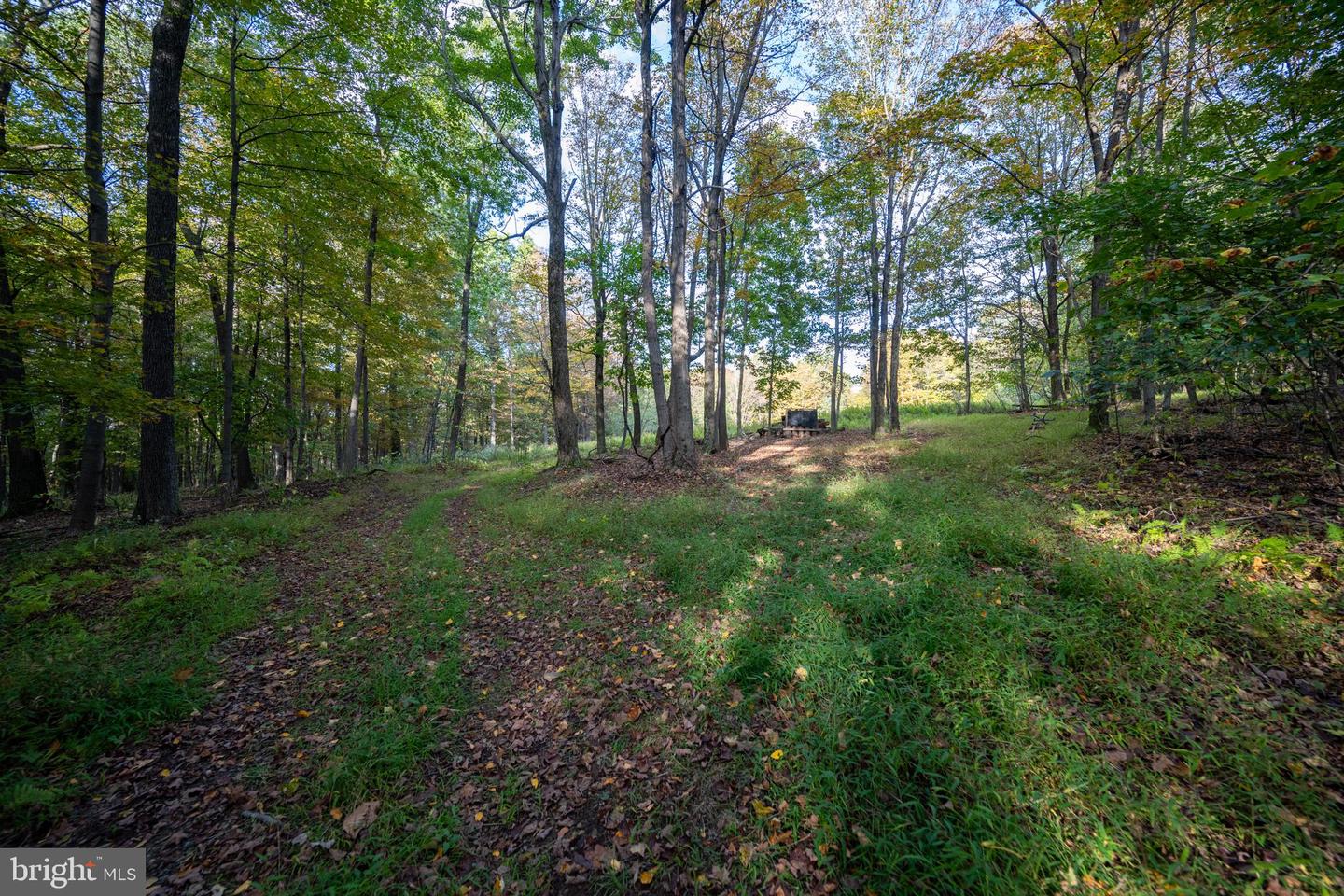 15800 Sprucewood Dr Property Photo 37