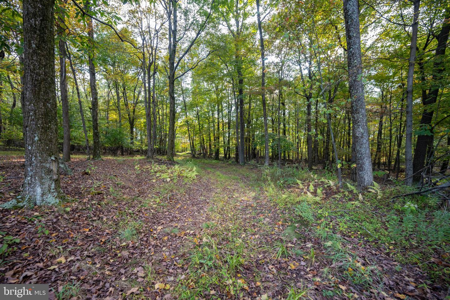 15800 Sprucewood Dr Property Photo 43