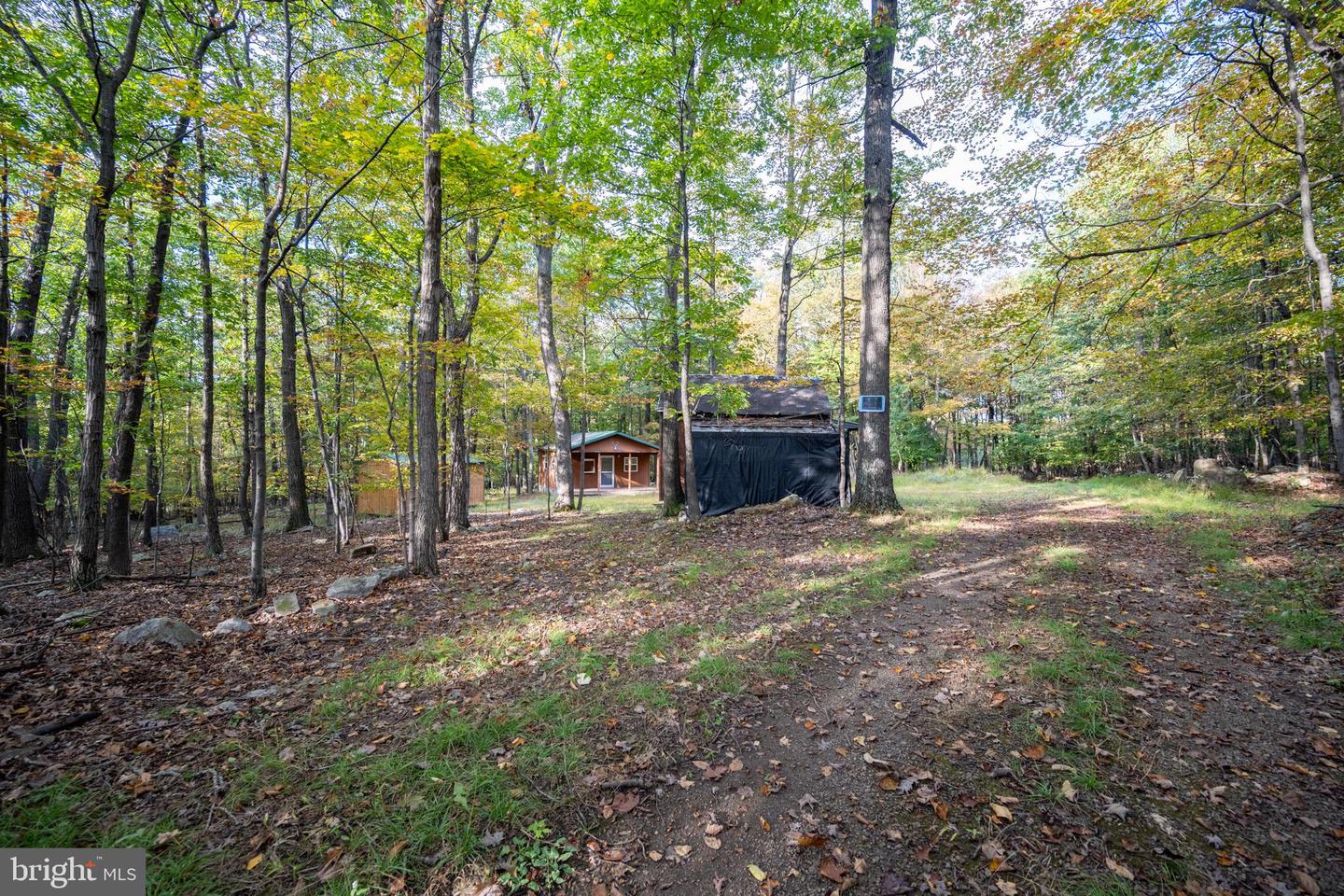15800 Sprucewood Dr Property Photo 45