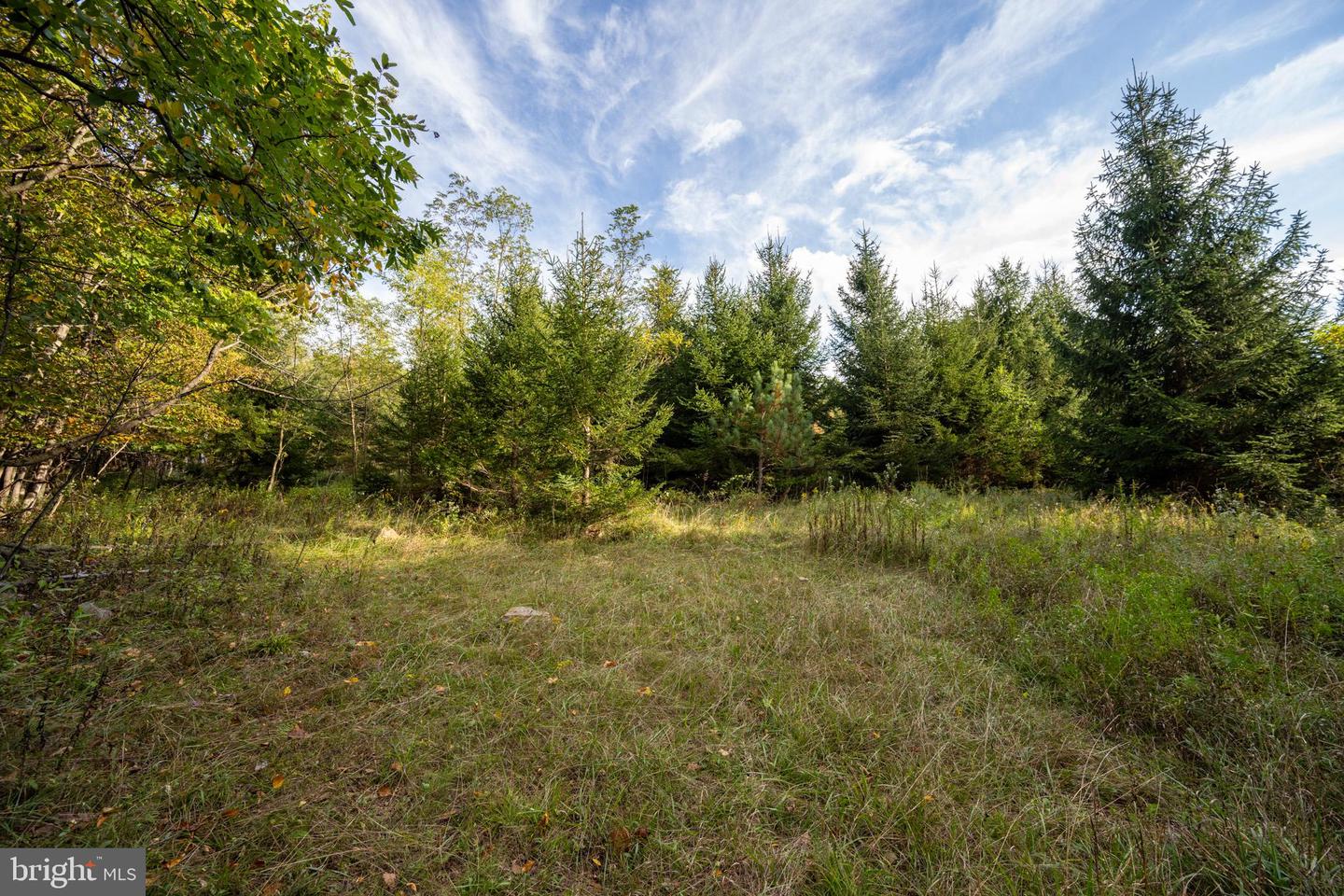 15800 Sprucewood Dr Property Photo 46
