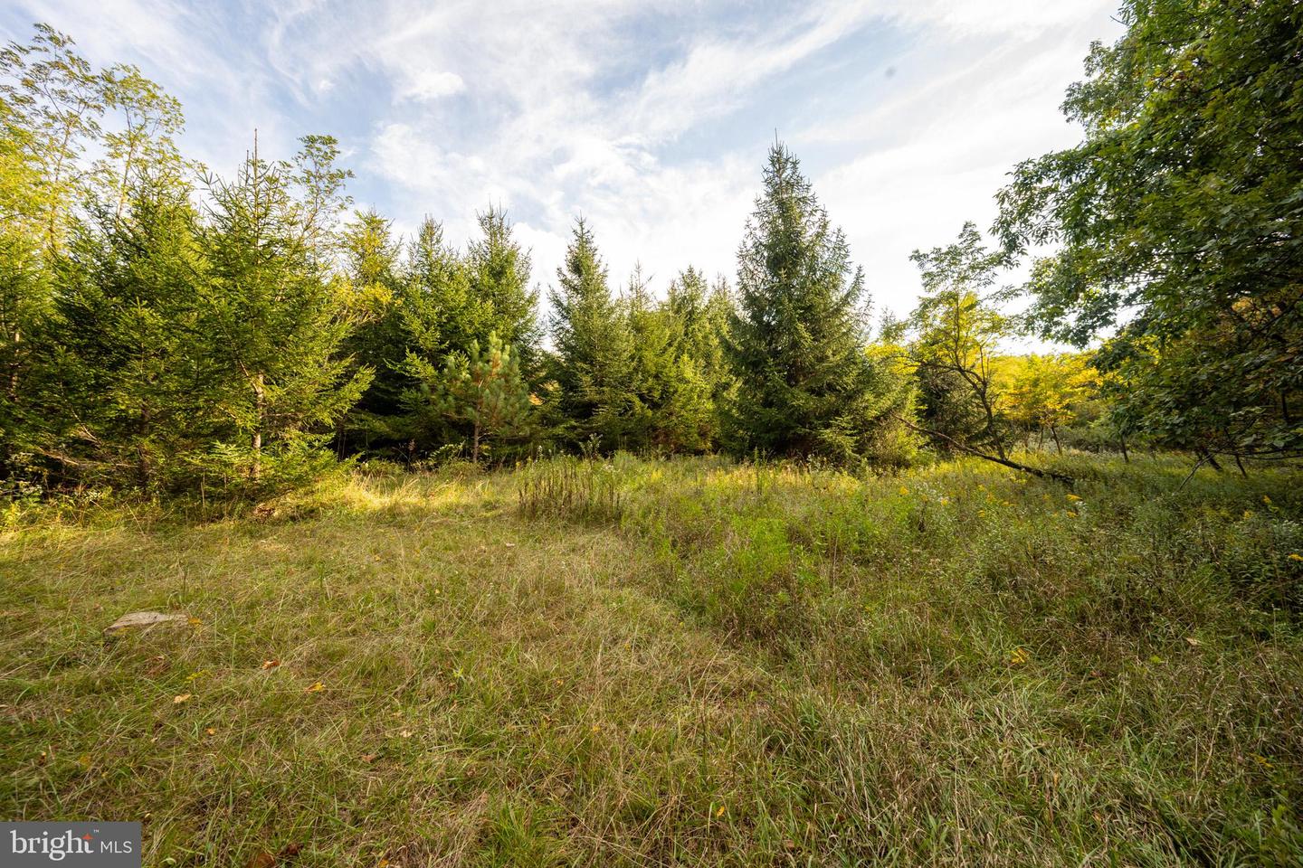 15800 Sprucewood Dr Property Photo 47