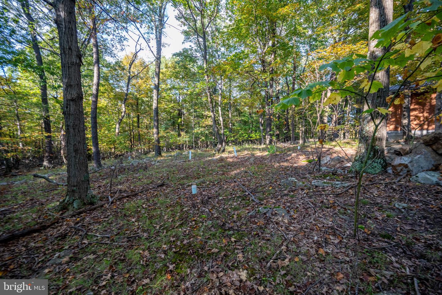 15800 Sprucewood Dr Property Photo 67