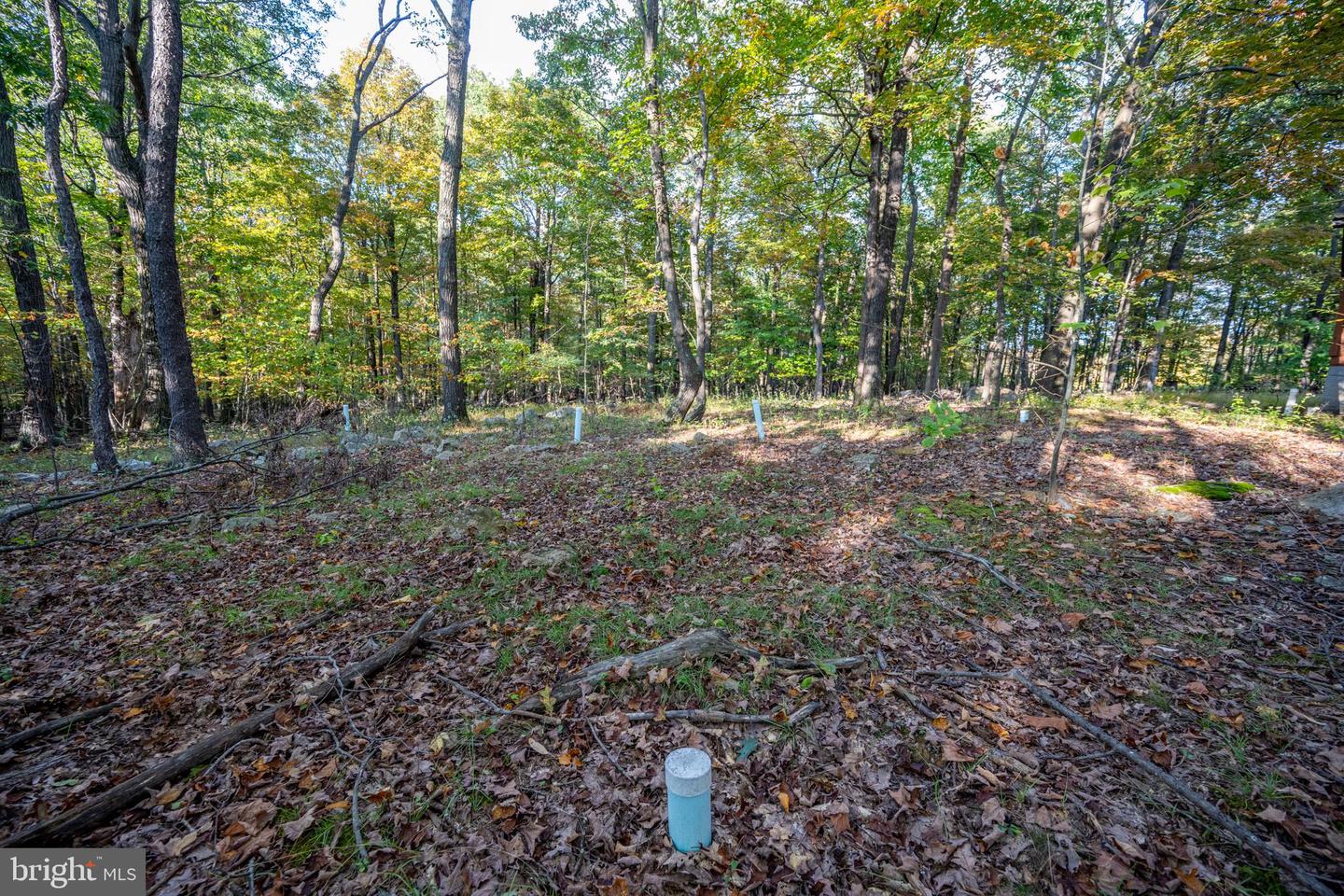 15800 Sprucewood Dr Property Photo 68