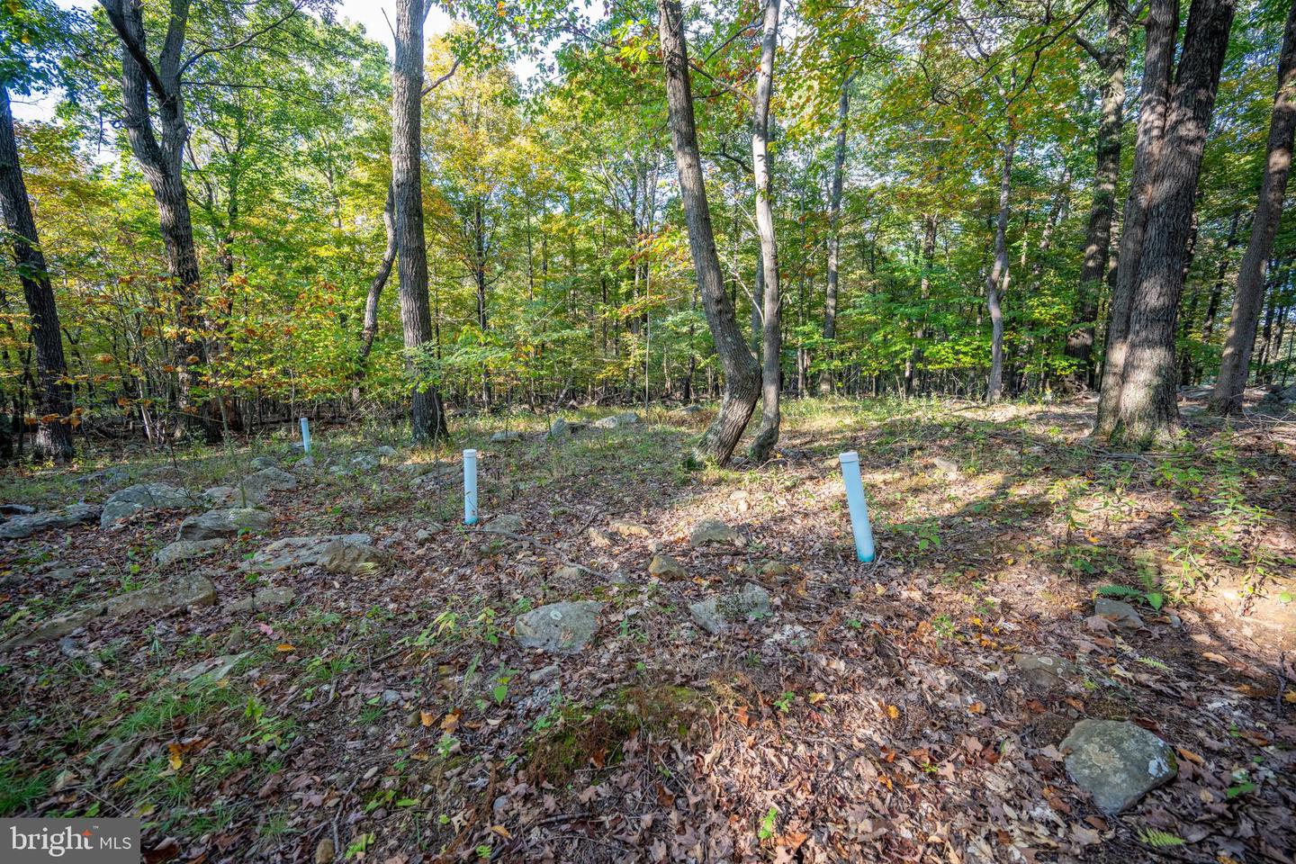 15800 Sprucewood Dr Property Photo 70