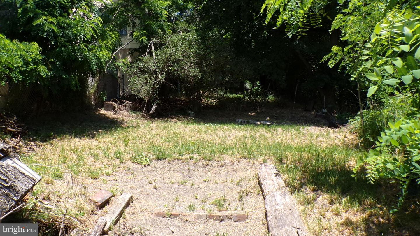 7 Bellevue St Property Photo 5