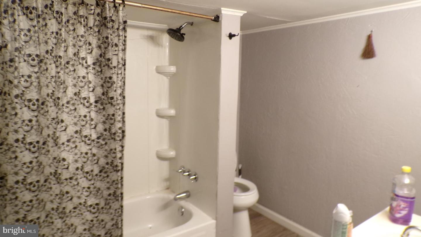 7 Bellevue St Property Photo 10