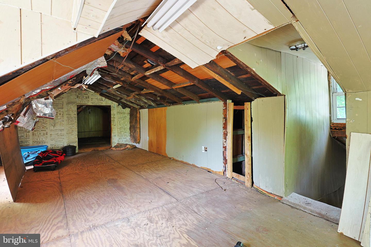302 Wills Creek Ave Property Photo 29