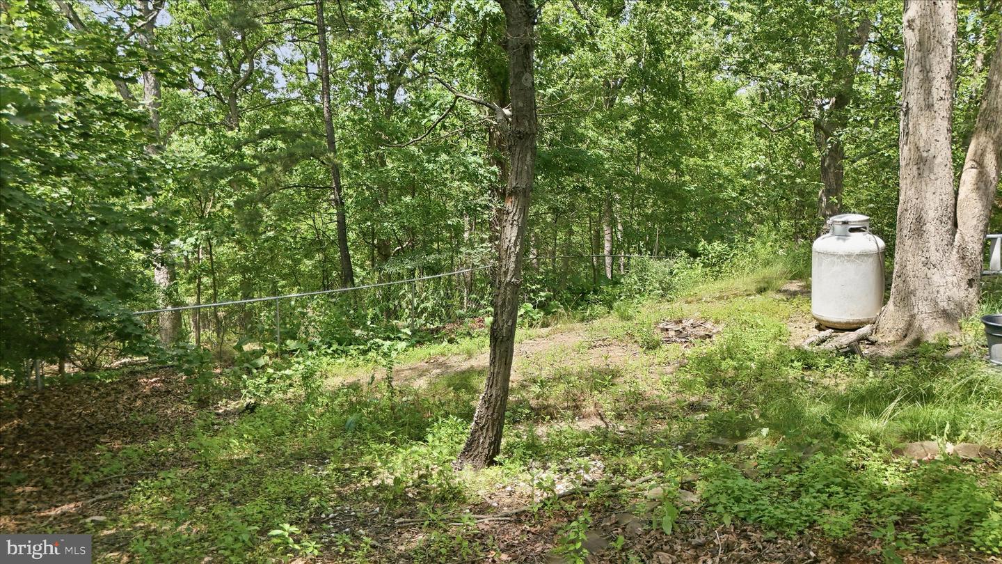 325 Francis Ct Property Photo 52