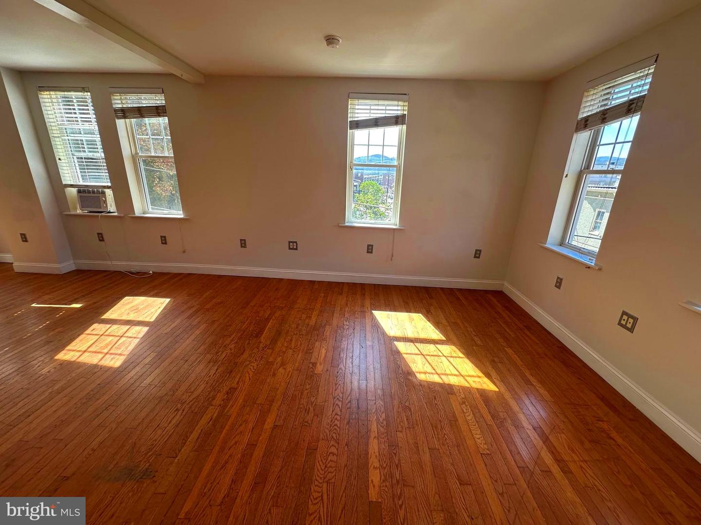 301 Baltimore Ave Property Photo 17
