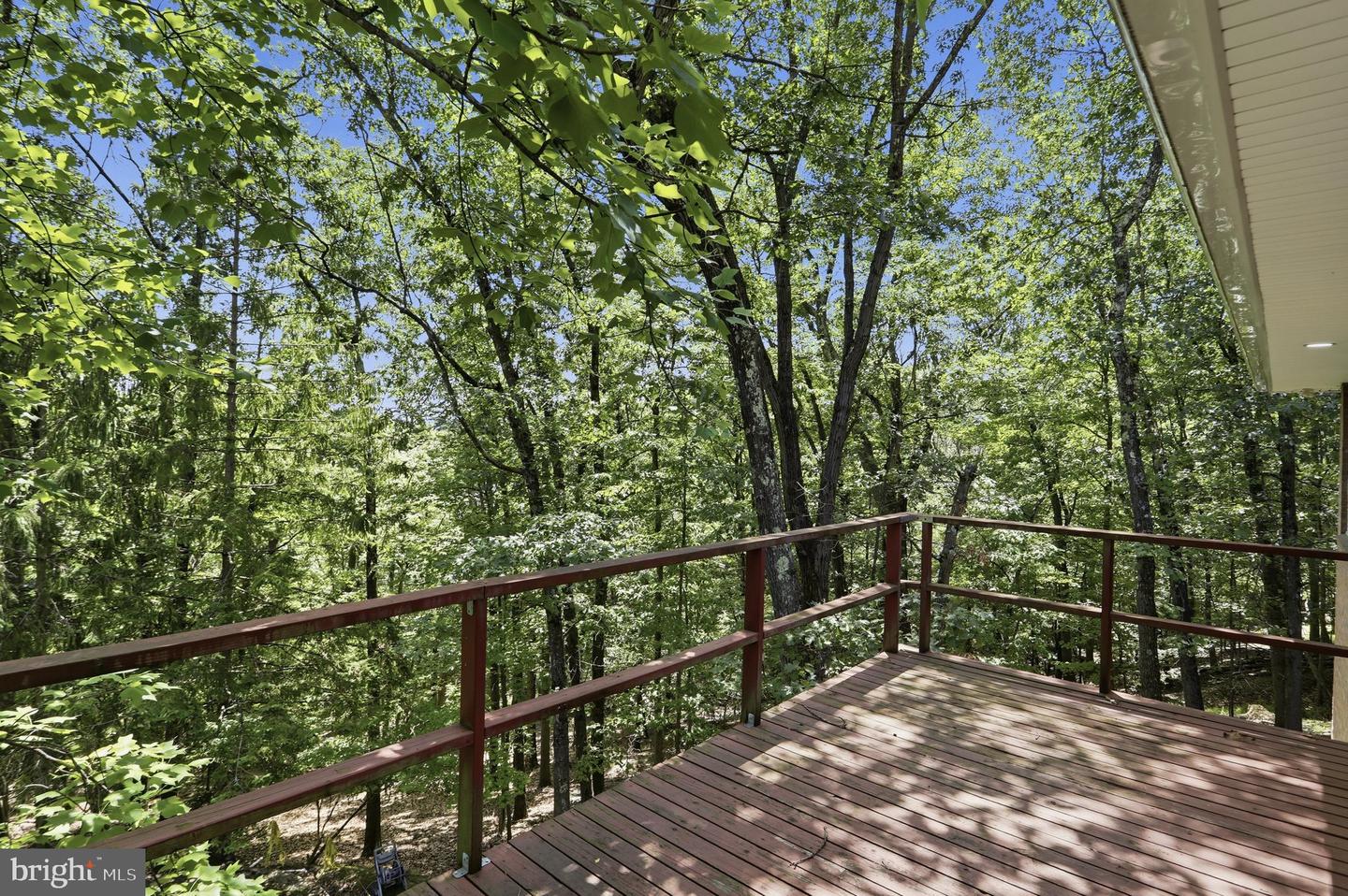 935 Dingle Park Dr Property Photo 20