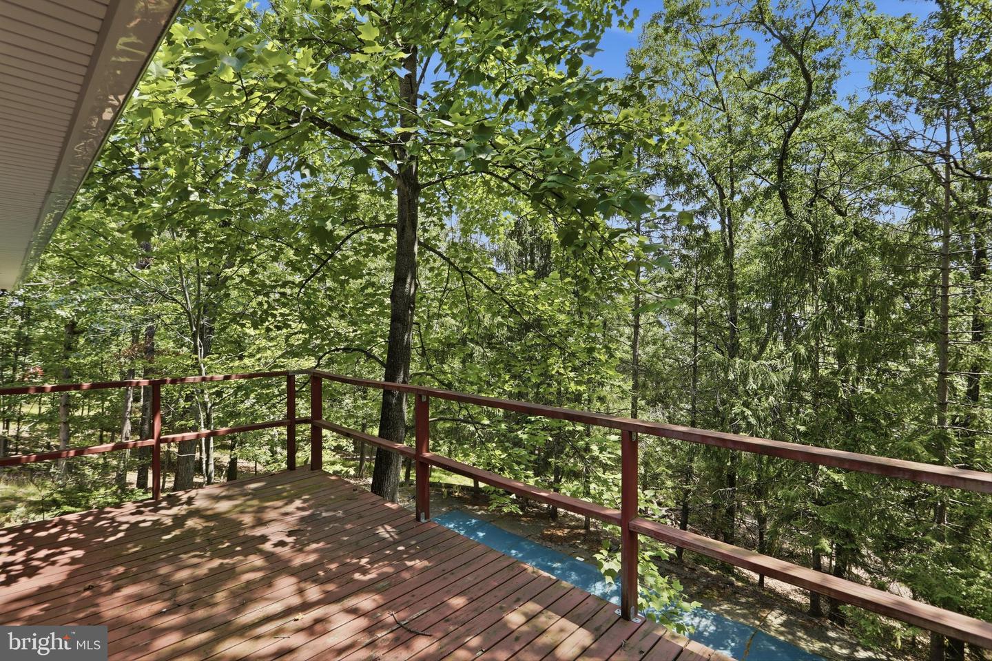 935 Dingle Park Dr Property Photo 42
