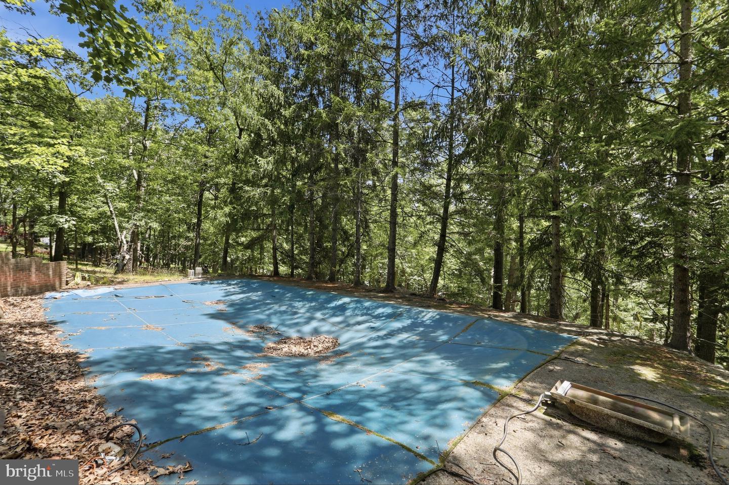 935 Dingle Park Dr Property Photo 44