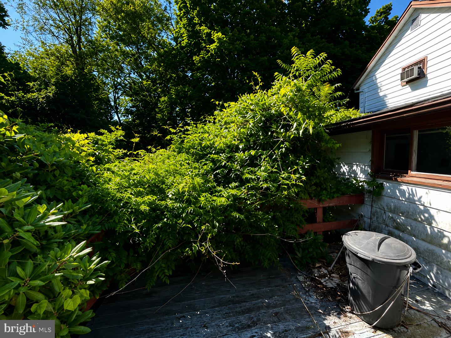 12808 Rose Mary Property Photo 3
