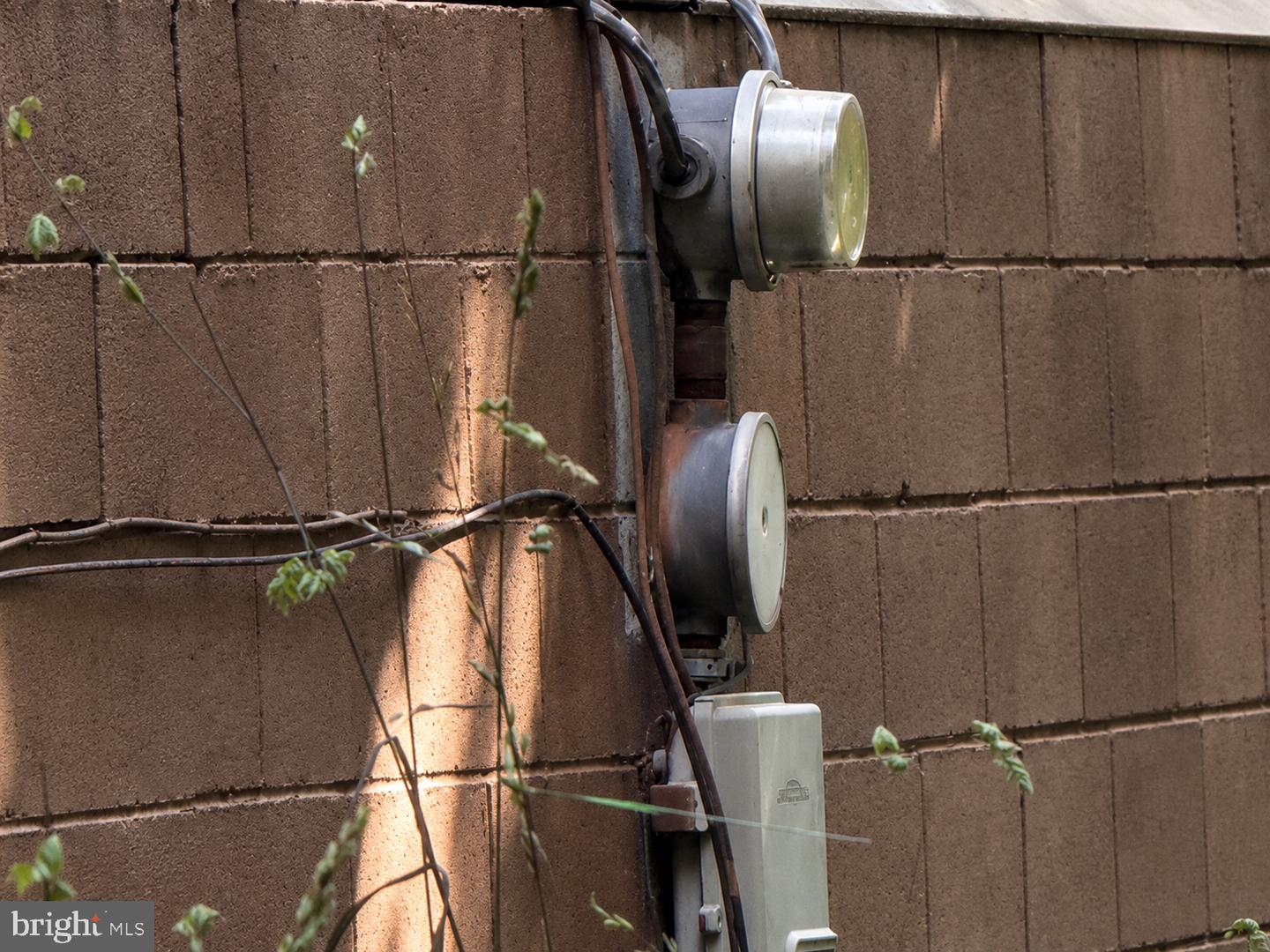 12808 Rose Mary Property Photo 5