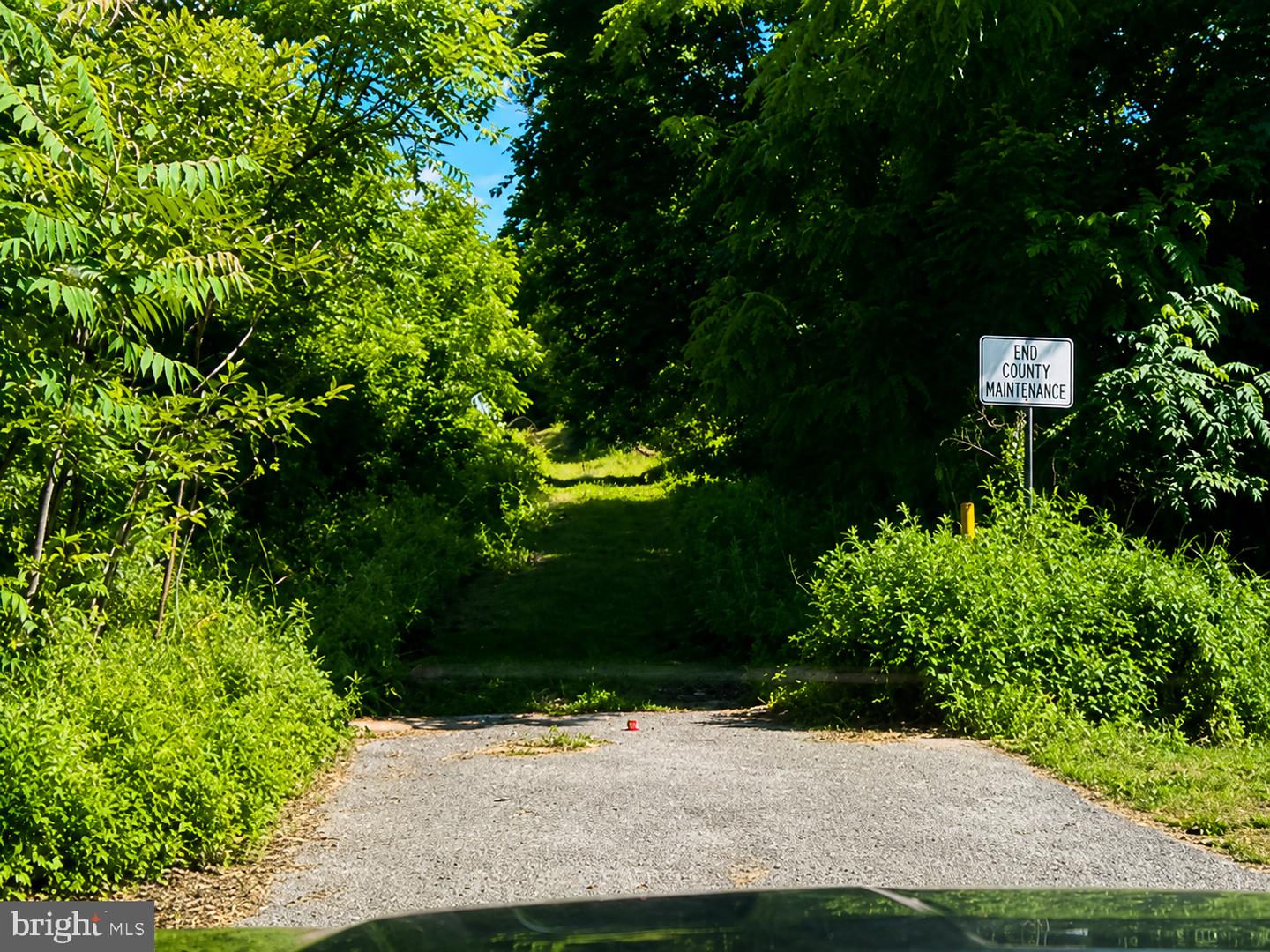 12808 Rose Mary Property Photo 6