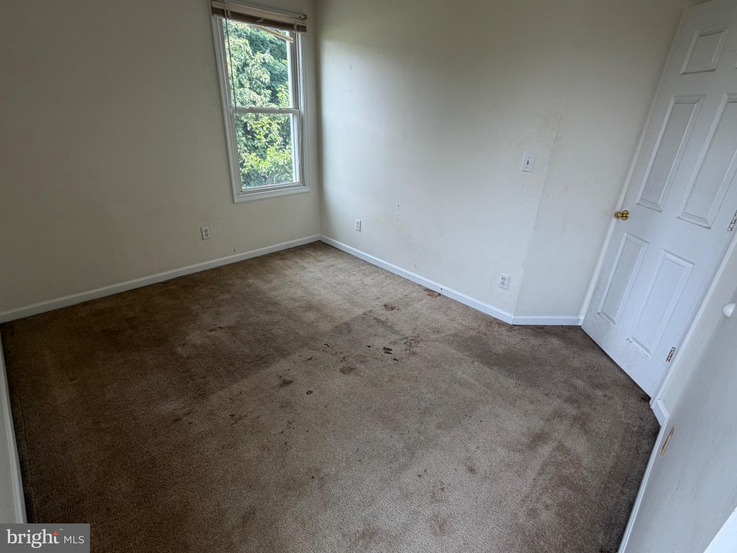 313 S Cedar St Property Photo 9