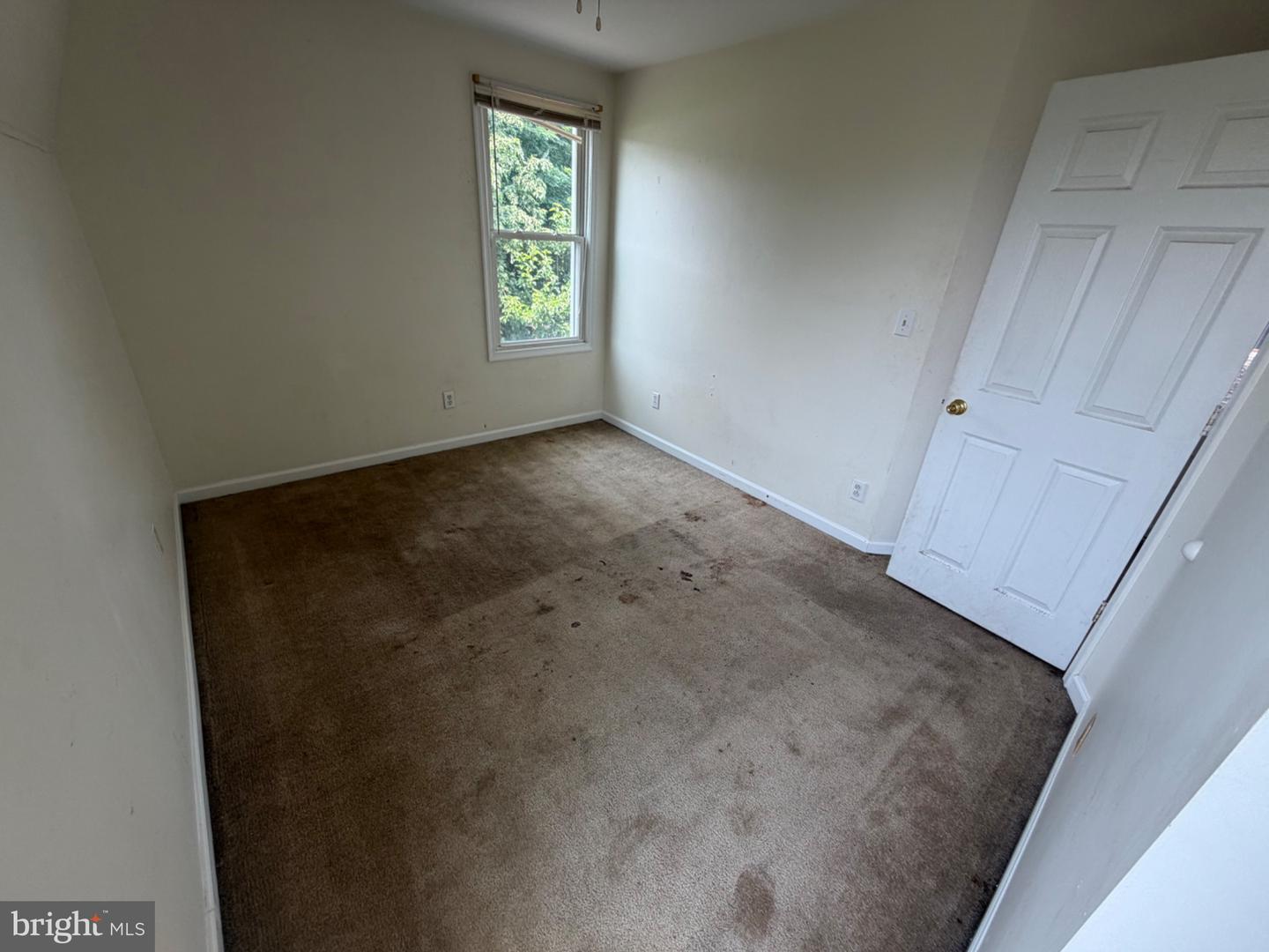 313 S Cedar St Property Photo 10
