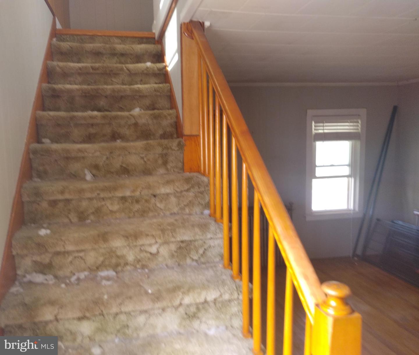 22 Davidson St Property Photo 22