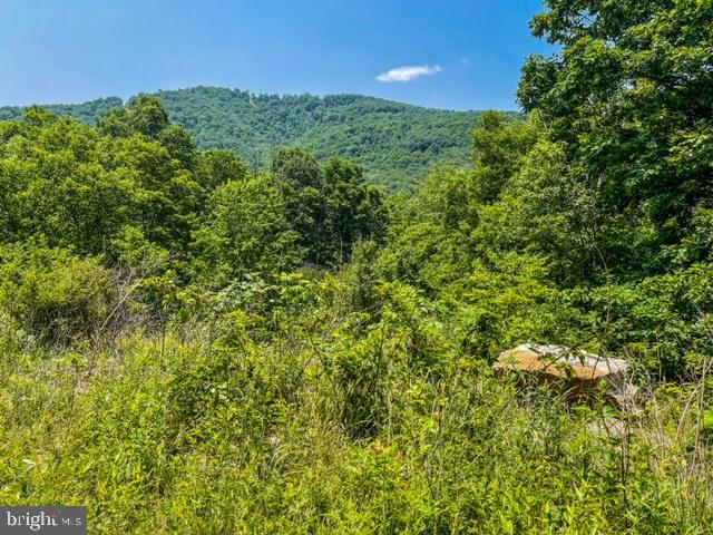 25413 Sisler Hill Rd Property Photo 1