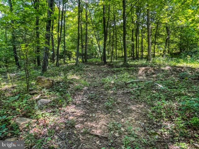 25413 Sisler Hill Rd Property Photo 4