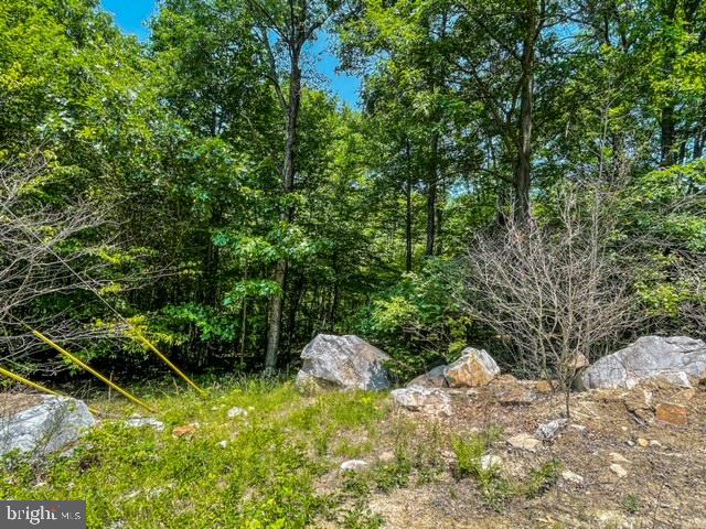 25413 Sisler Hill Rd Property Photo 5