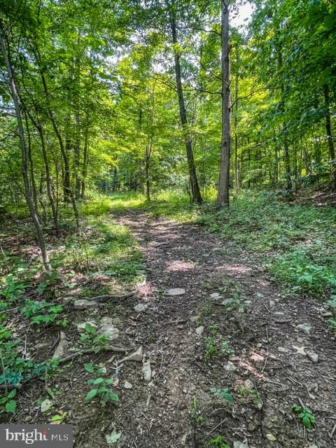 25413 Sisler Hill Rd Property Photo 6