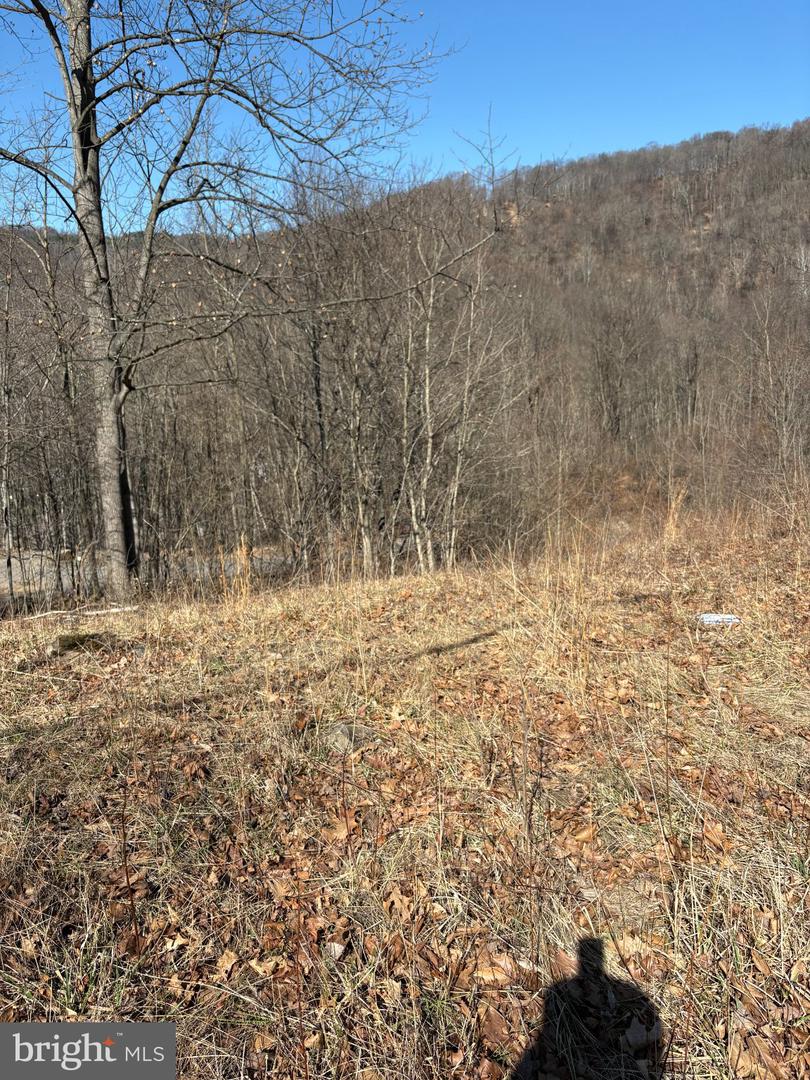 25413 Sisler Hill Rd Property Photo 11