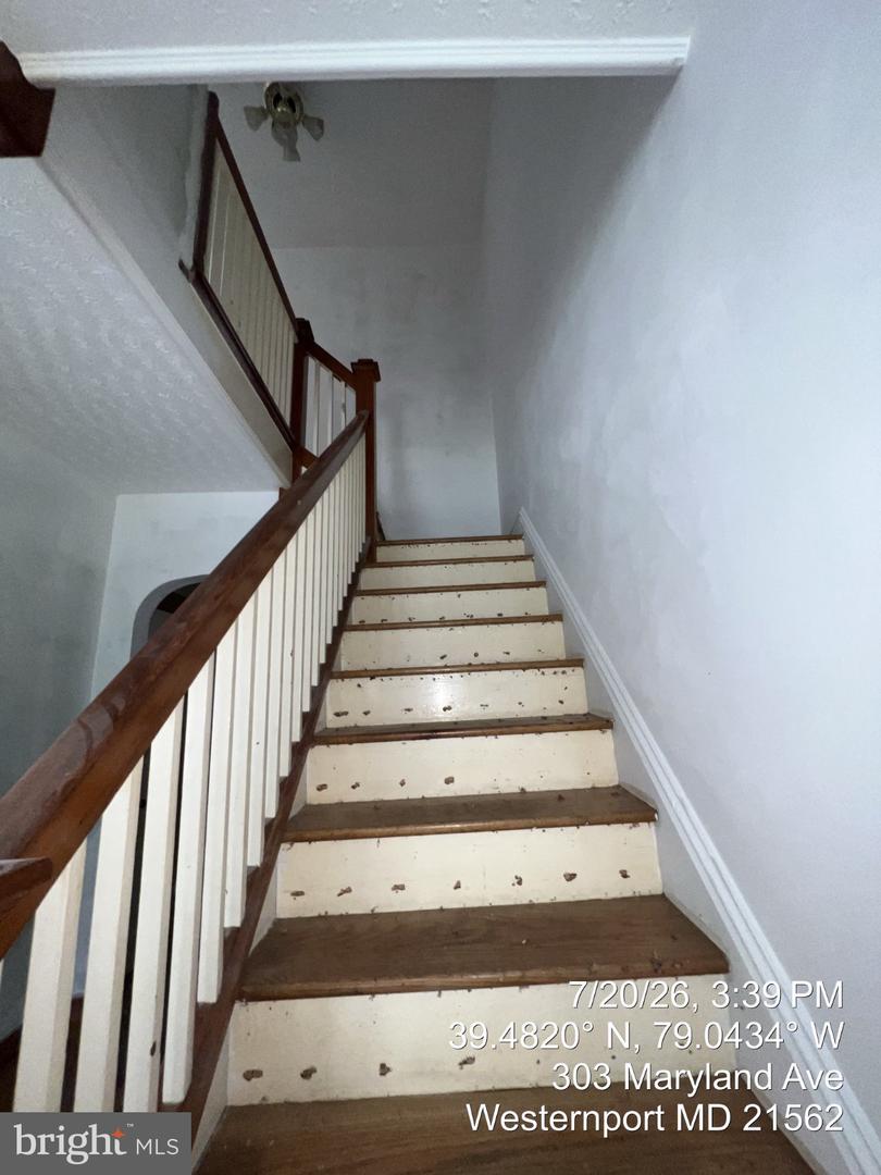 303 Maryland Ave Property Photo 22