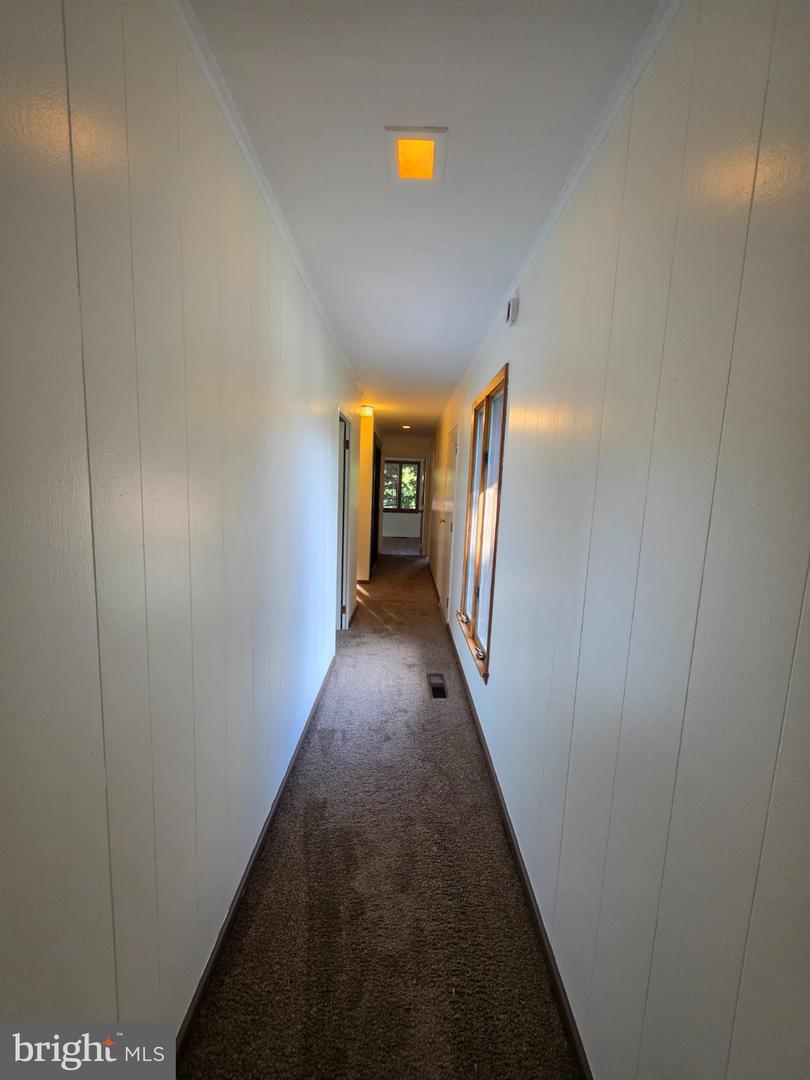 1807 Holland St Property Photo 25