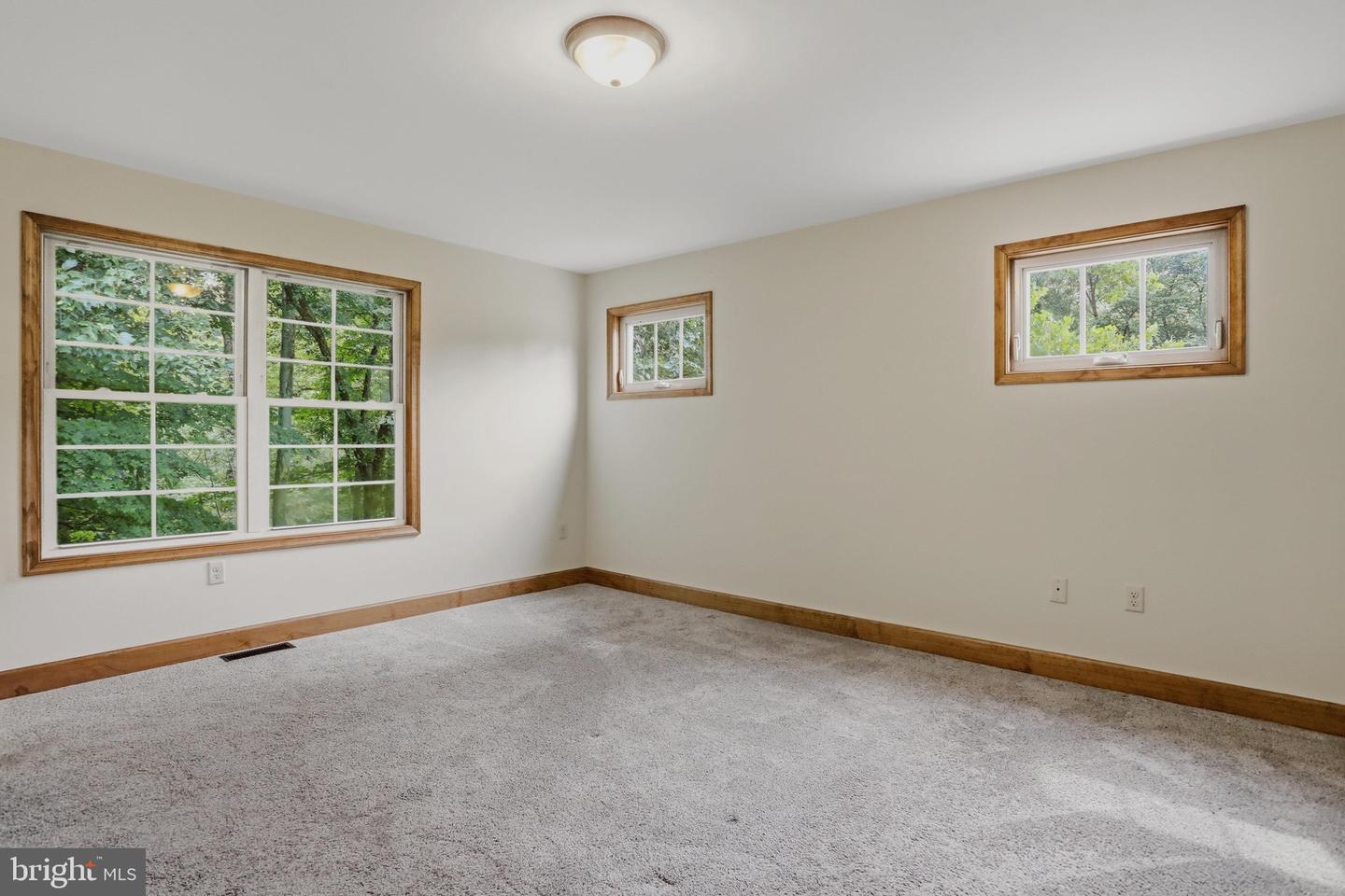 35701 National Pike Ne Property Photo 14