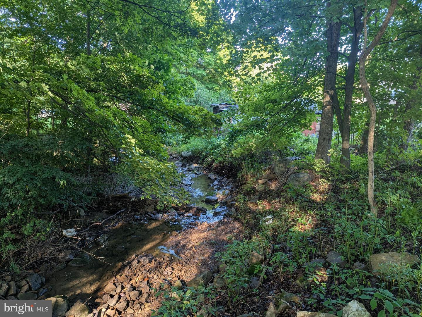 16911 Dutch Hollow Rd Property Photo 11