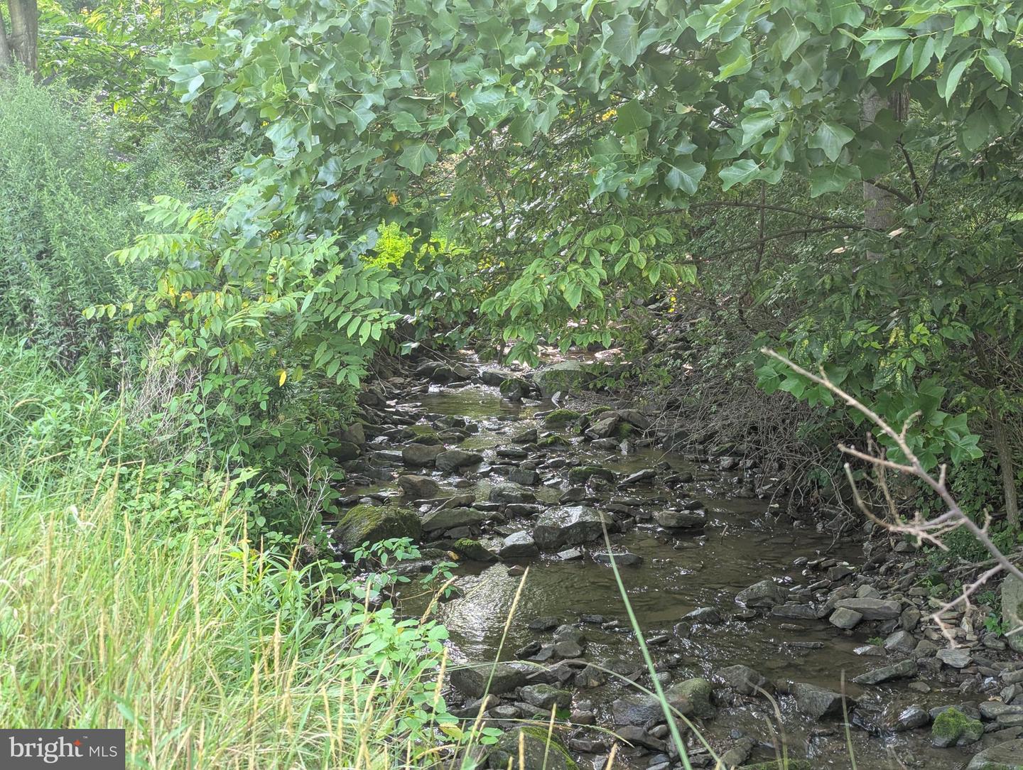 16911 Dutch Hollow Rd Property Photo 13