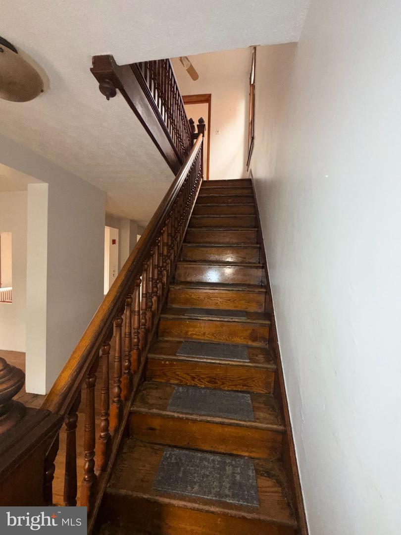 231 Race St Property Photo 7